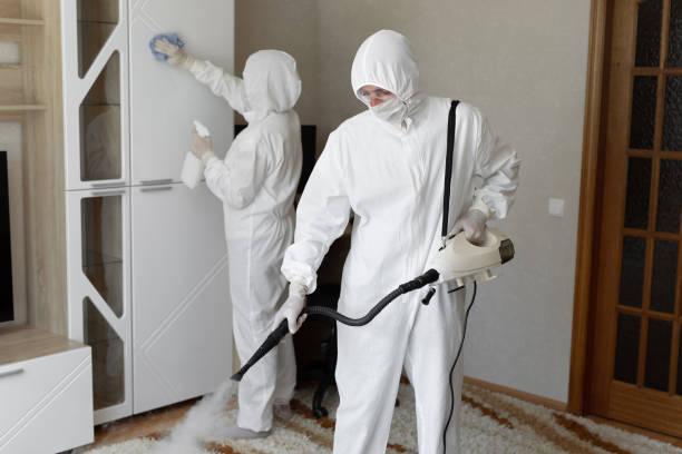 Biohazard Mold Removal in Woodville, OH