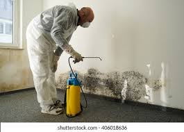 Best Mold Prevention Services  in Woodville, OH